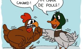 froid-canard-chair-poule-redewendungen-franzoesisch